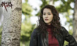 柴碧云演过的电视剧,情感与命运的交织