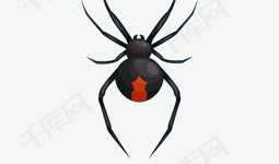 蜘蛛动漫,穿梭时空的奇幻冒险之旅